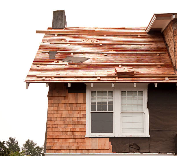 Affordable Siding Repair and Maintenance Services in Mound City, MO